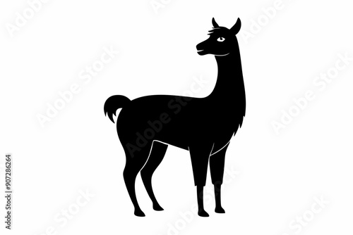
Lama Silhouette,  Vector of lama standing side view black silhouette


