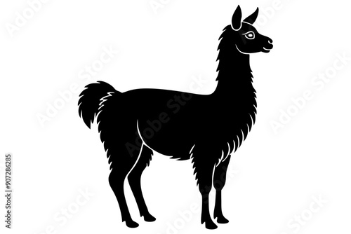 
Lama Silhouette,  Vector of lama standing side view black silhouette



