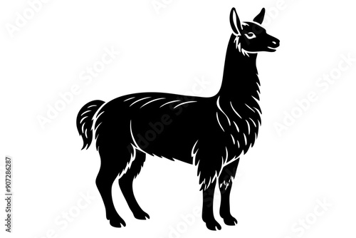 
Lama Silhouette,  Vector of lama standing side view black silhouette


