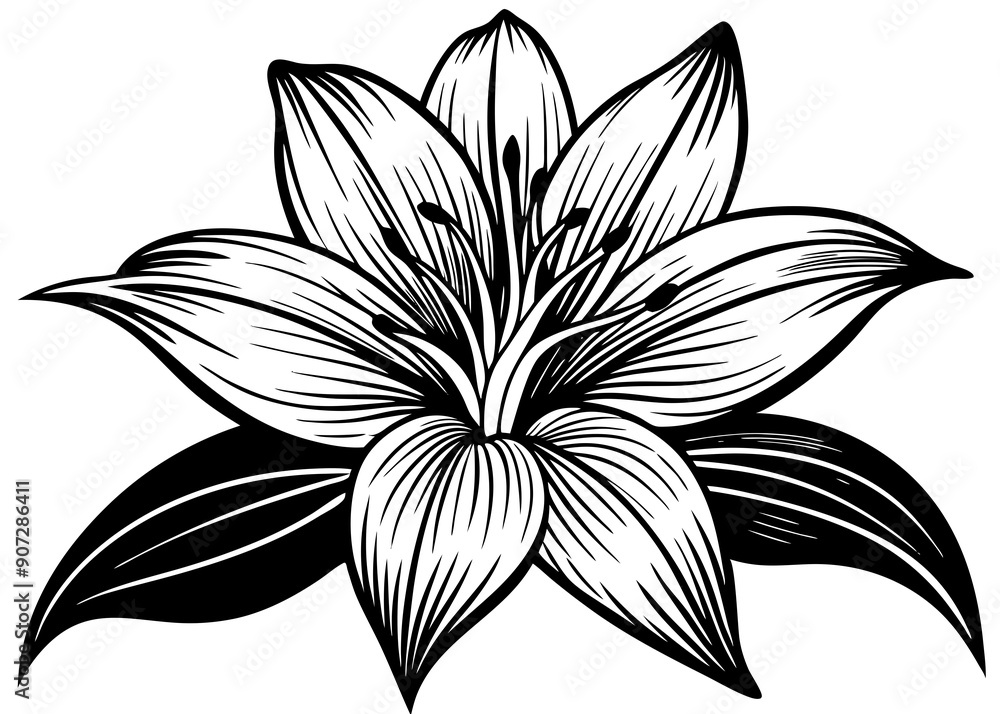 Lily Silhouette & Flower Outline: Essential Botanical Elements for Design Projects
Lily Silhouette & Flower Outline: Essential Botanical Elements for Design Projects