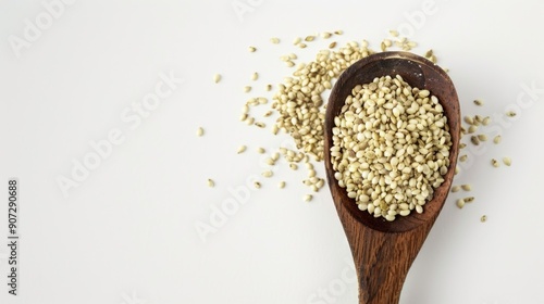 A wooden spoon filled with seeds on a white background, suitable for use in food or gardening related contexts photo