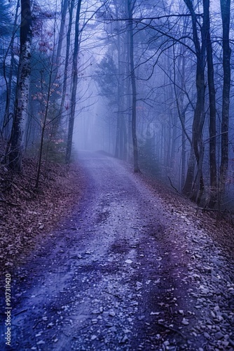 A dirt road surrounded by dense trees in a forest