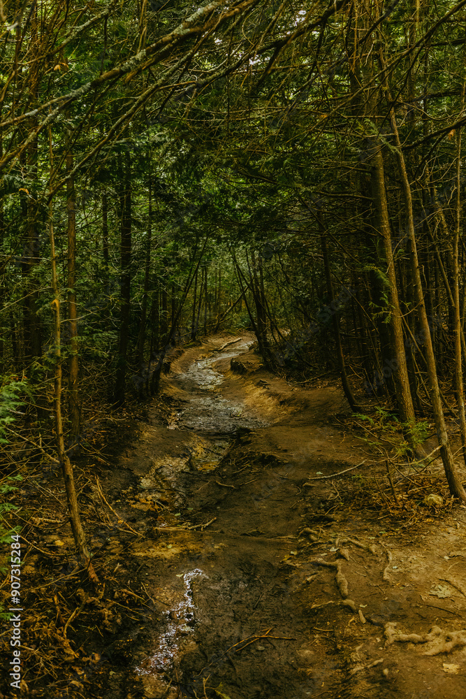 Obraz premium pictured rocks