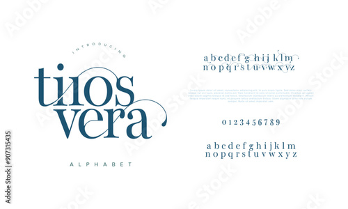 Tirosevera swash luxury elegant alphabet letters and numbers. Vintage wedding typography classic serif font decorative vintage retro. creative vector illustration