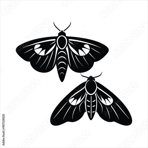 moths black vector