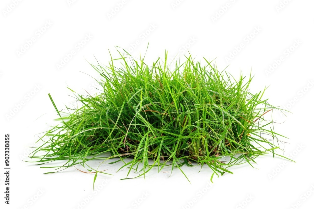 A close-up view of a pile of green grass on a white surface