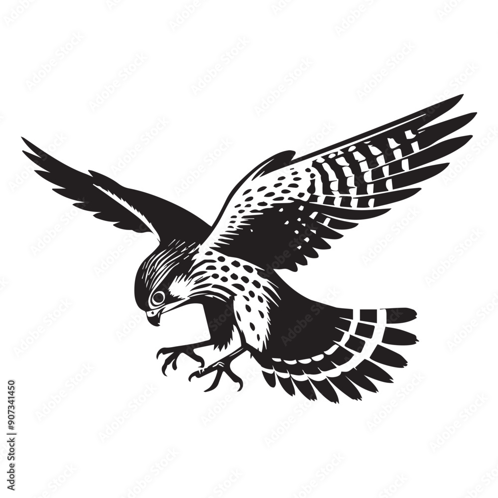 Fototapeta premium Eurasian kestrel - kestrel Bird silhouette - kestrel perched on telephone wire illustration in black and white
