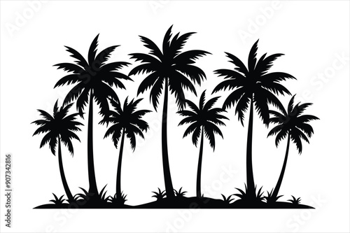 palm tree and birds in different stages of growth black vector