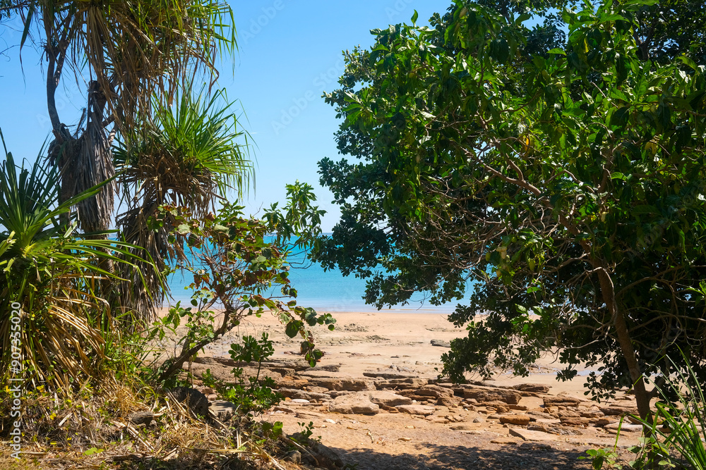 Fototapeta premium View of beach through vegetation