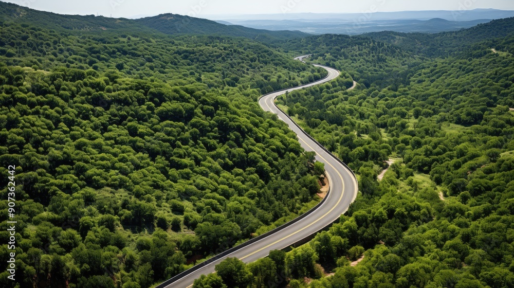Aerial view of dense green trees in forest capture Aerial view of dense green trees in forest capture