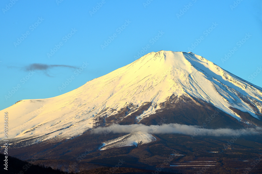 Fototapeta premium 富士 富士山 山梨県山中湖付近の風景