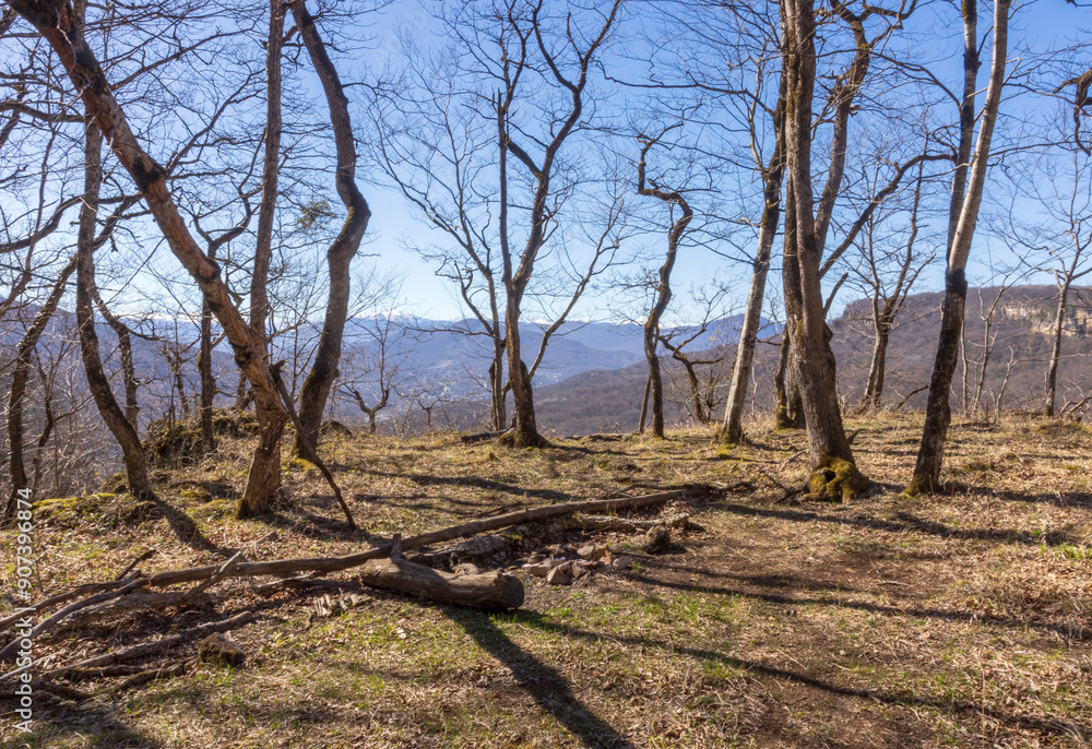 spring sunny day in a nature park,walking awakening of nature, mountainous area spring sunny day in a nature park,walking awakening of nature, mountainous area