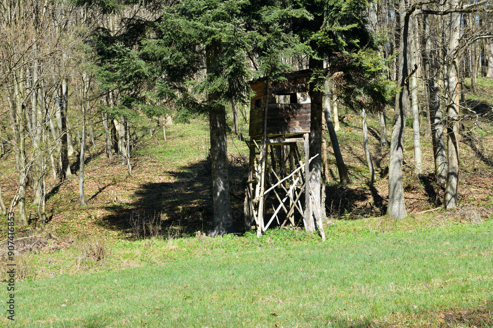 A wooden cottage for hunters hidden in the crown of a tree