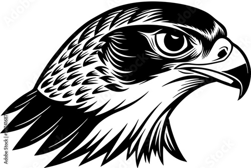 falcon head vector silhouette, eagle head icon