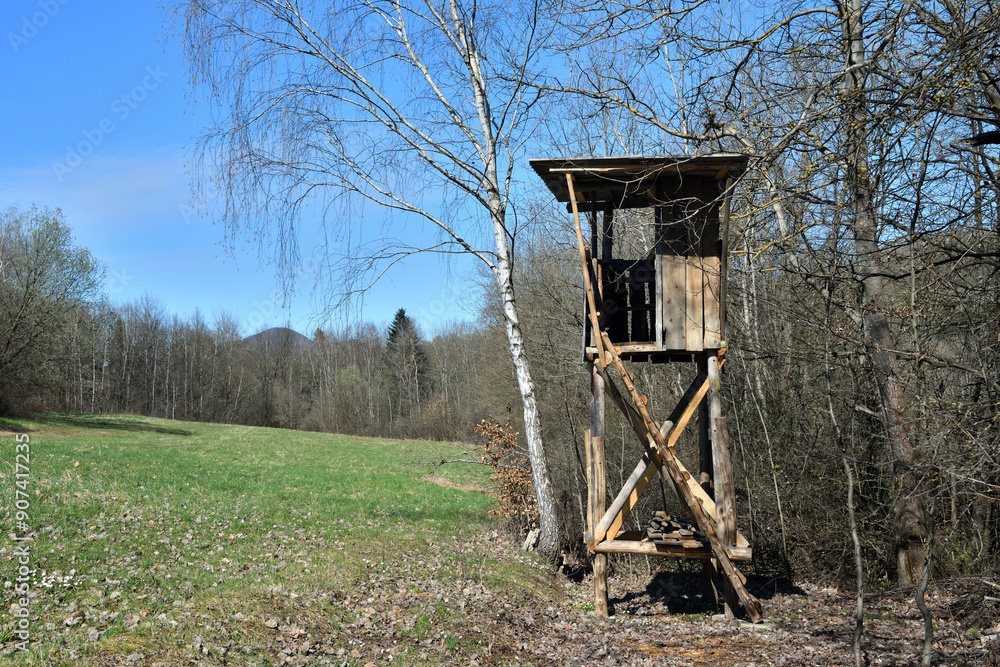 Hunting hidden observation point from wooden in meadow near forest