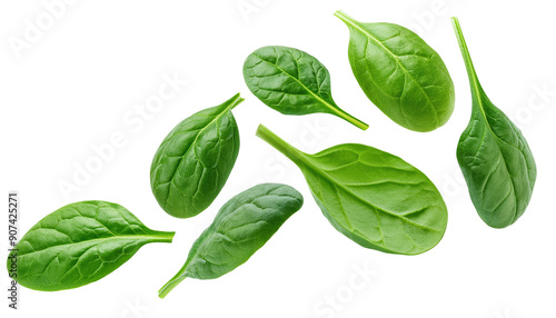 Fresh green spinach leaves arranged beautifully, showcasing vibrant color and crisp texture, perfect for healthy recipes.