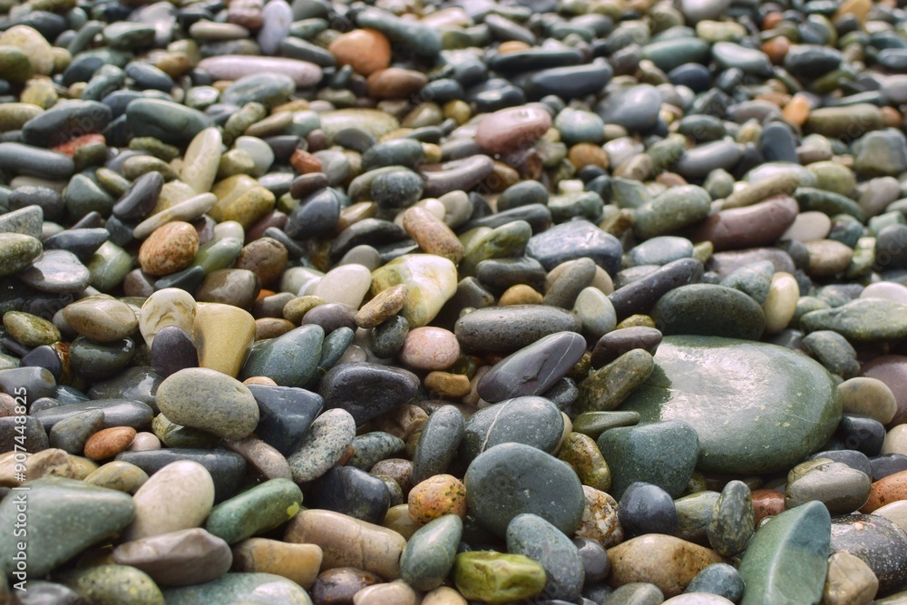 Color pebbles on the beach. Wet stones background. Color pebbles on the beach. Wet stones background.