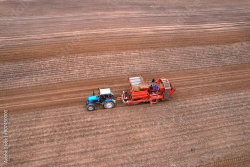 Harvesting potatoes, aerial view. Potato Harvester during seasonal harvesting of potatoes from farm field. Agricultural Potato Combine Harvester loads potatoes in dump truck, drone view. Farm field. photo