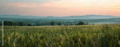 A serene rear view of a historic battlefield