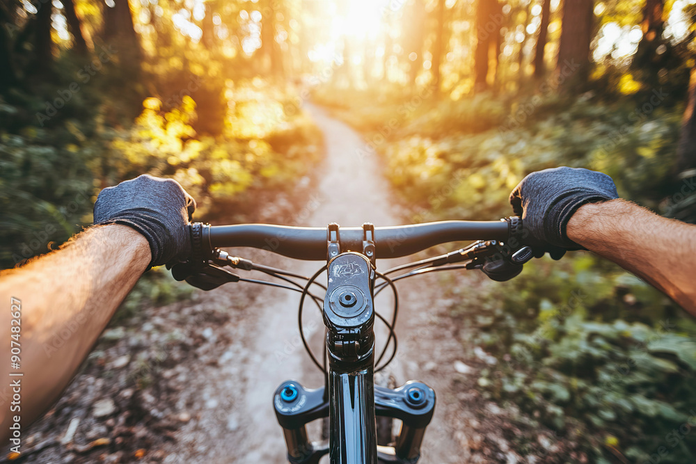 Thrilling Off Road Mountain Biking in Forest at Sunrise Thrilling Off Road Mountain Biking in Forest at Sunrise