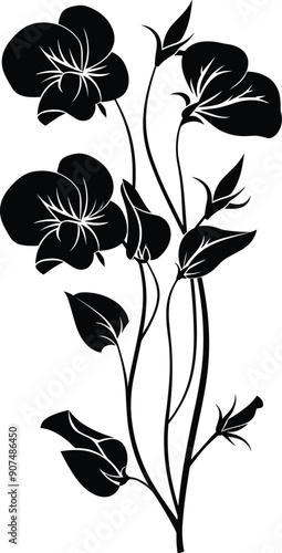 Sweet pea flower silhouette, Flat vector sweet pea flower illustration. beautiful sweet pea cathartic flower bouquet, blossom sweet pea, engraved ink art.