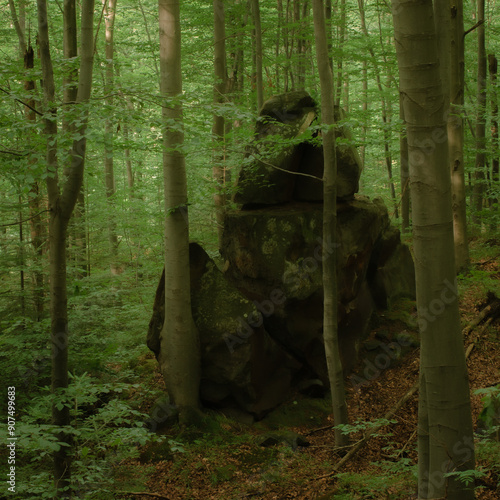  A massive stone stands prominently in the heart of a dense forest. Surrounded by tall trees and lush foliage, this natural formation creates a striking contrast with its environment. 