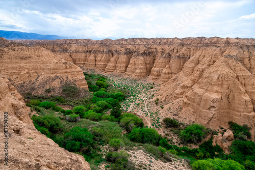 Moon Canyon Almaty, Kazakhstan. Yellow clay canyon with bright and green grass and trees at the bottom of the canyon. Great color contrast