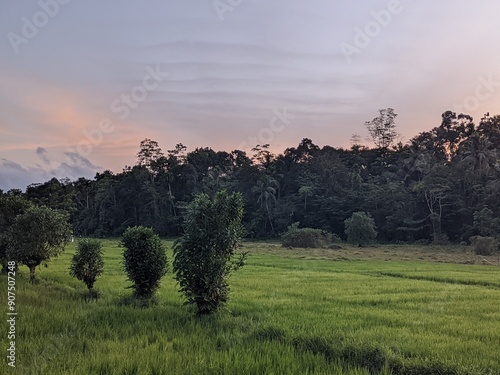 sunset in fadifield photo