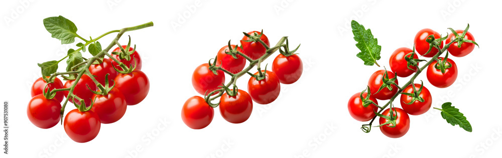 Cherry tomatoes on vine isolated on a transparent background Cherry tomatoes on vine isolated on a transparent background