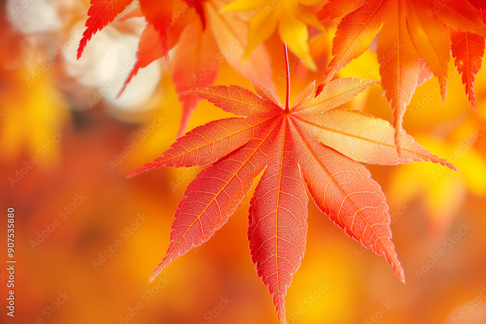 Abstract autumn background with maple yellow leaves Abstract autumn background with maple yellow leaves