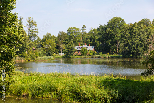 Poland Belovezhskaya Pushcha view on a sunny autumn day photo