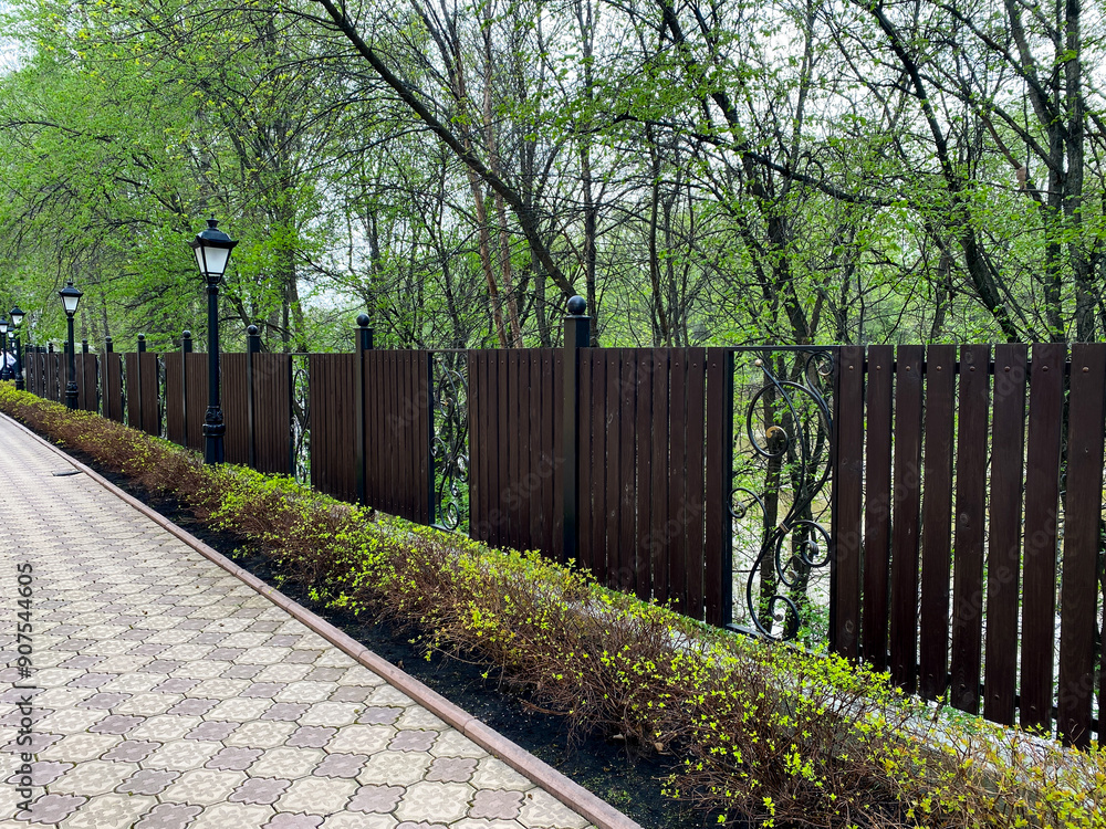 Immerse yourself in the serene ambiance of a peaceful path lined with trees and a fence during the spring season Immerse yourself in the serene ambiance of a peaceful path lined with trees and a fence during the spring season