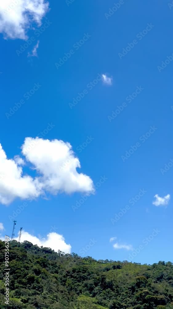 Video of beautiful landscapes of the Cocora Valley in Colombia. Travel and beautiful villages. Wax palm. National tree of Colombia.