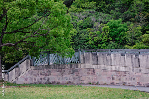 fence with tree