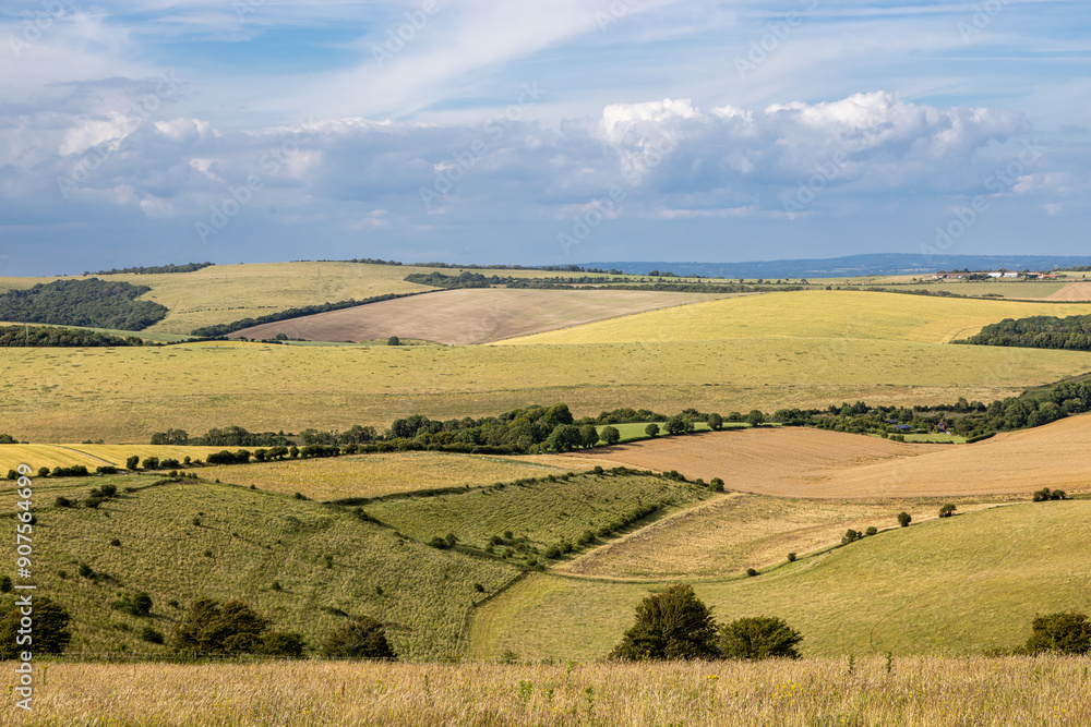 Fototapeta premium A rolling Sussex landscape with patchwork fields on a sunny day