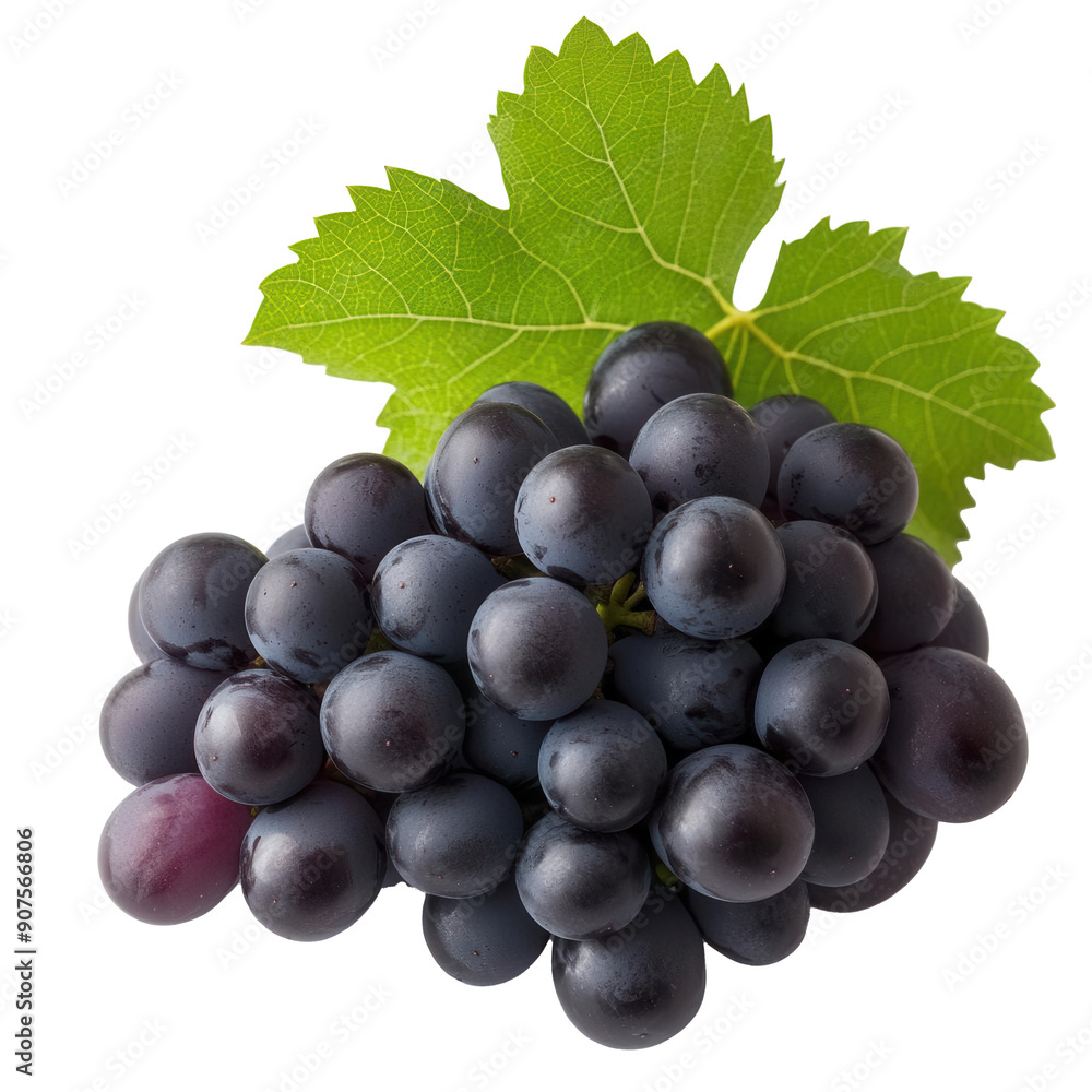 A cluster of juicy grapes with a few leaves on transparent background A cluster of juicy grapes with a few leaves on transparent background