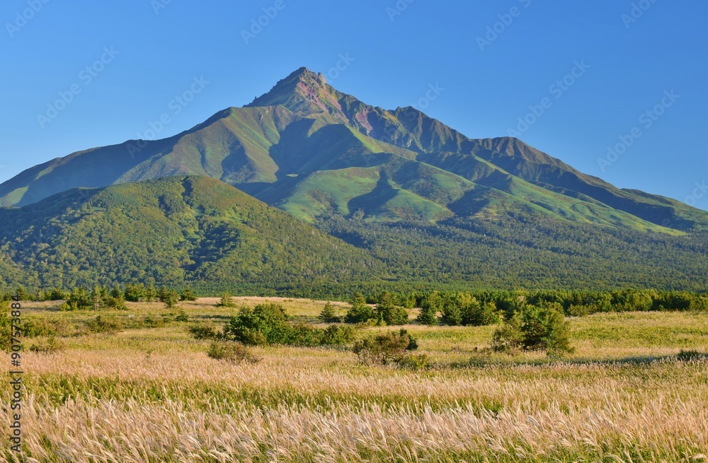 Fototapeta premium 利尻島 秋の風景