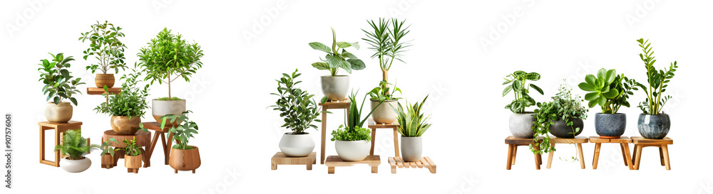 Obraz premium Potted plants on wooden stands isolated on a transparent background