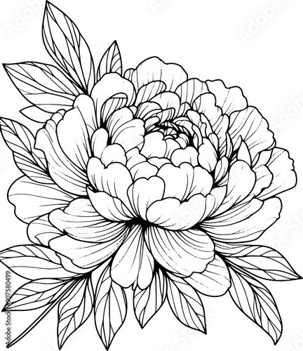 Wallpaper Mural sketch of a flower. peony line tattoo flowers Torontodigital.ca