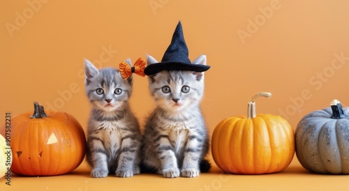Adorable Kitten in Witch Hat Surrounded by Pumpkins for Halloween Celebration