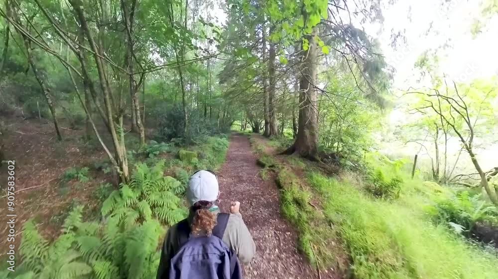Hiker walking on footpath through rural countryside woodland Hiker walking on footpath through rural countryside woodland
