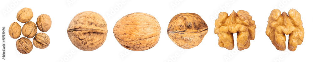 Set of Fresh Walnuts isolated on a transparent background Set of Fresh Walnuts isolated on a transparent background