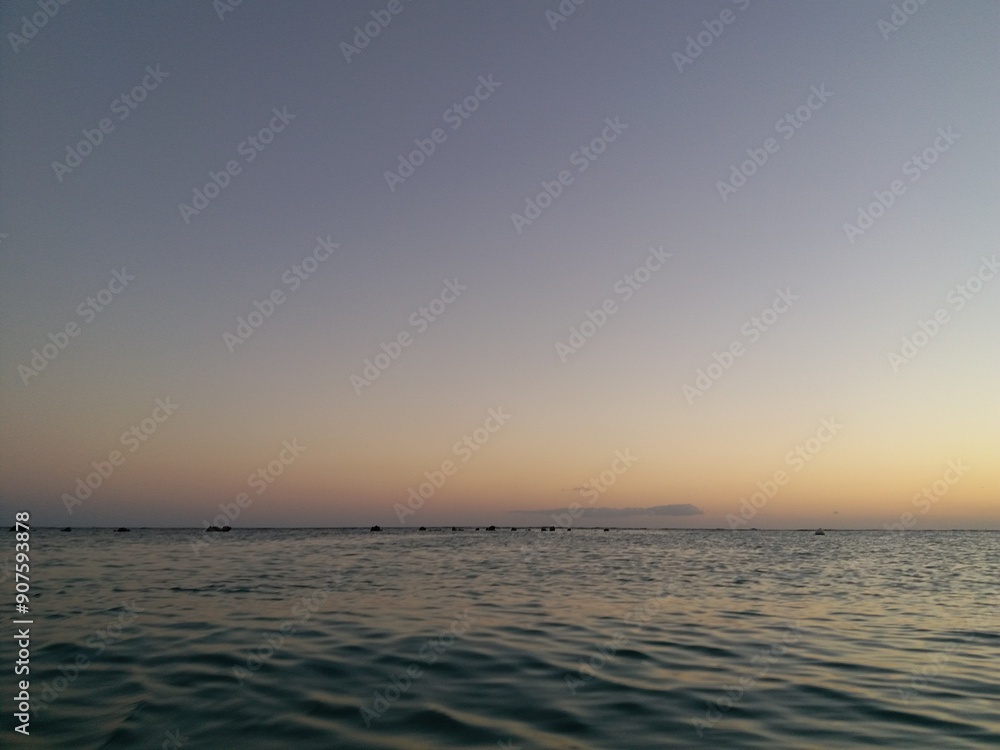 Fototapeta premium sunset over the sea