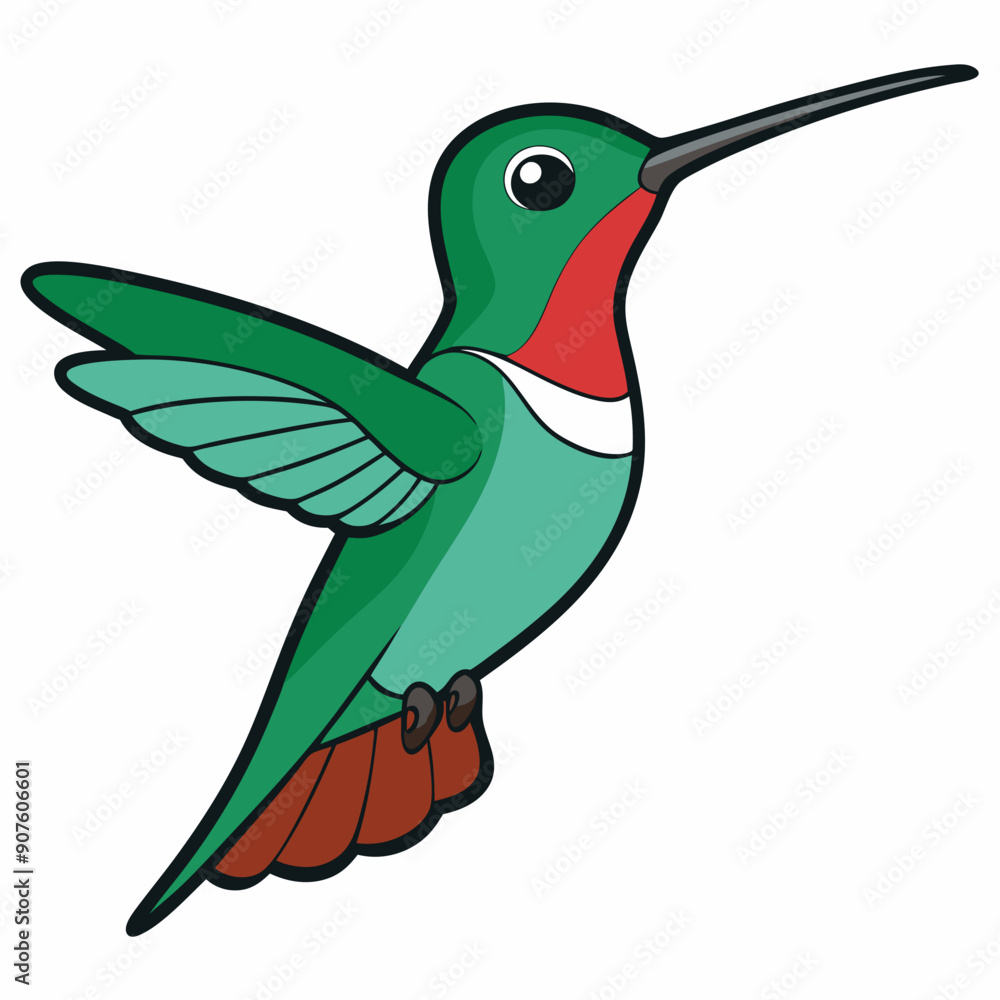 Obraz premium Broad-tailed Hummingbird Art vector illustration