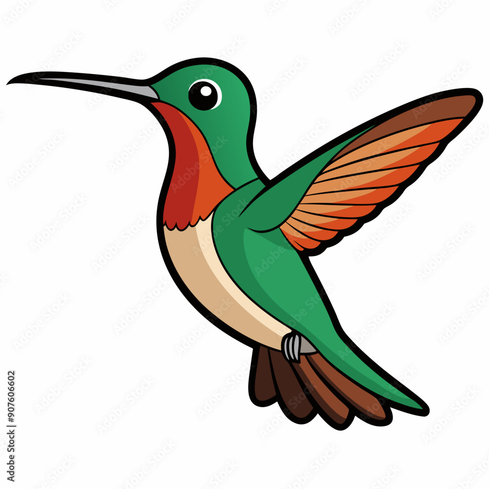 Obraz premium Broad-tailed Hummingbird Art vector illustration