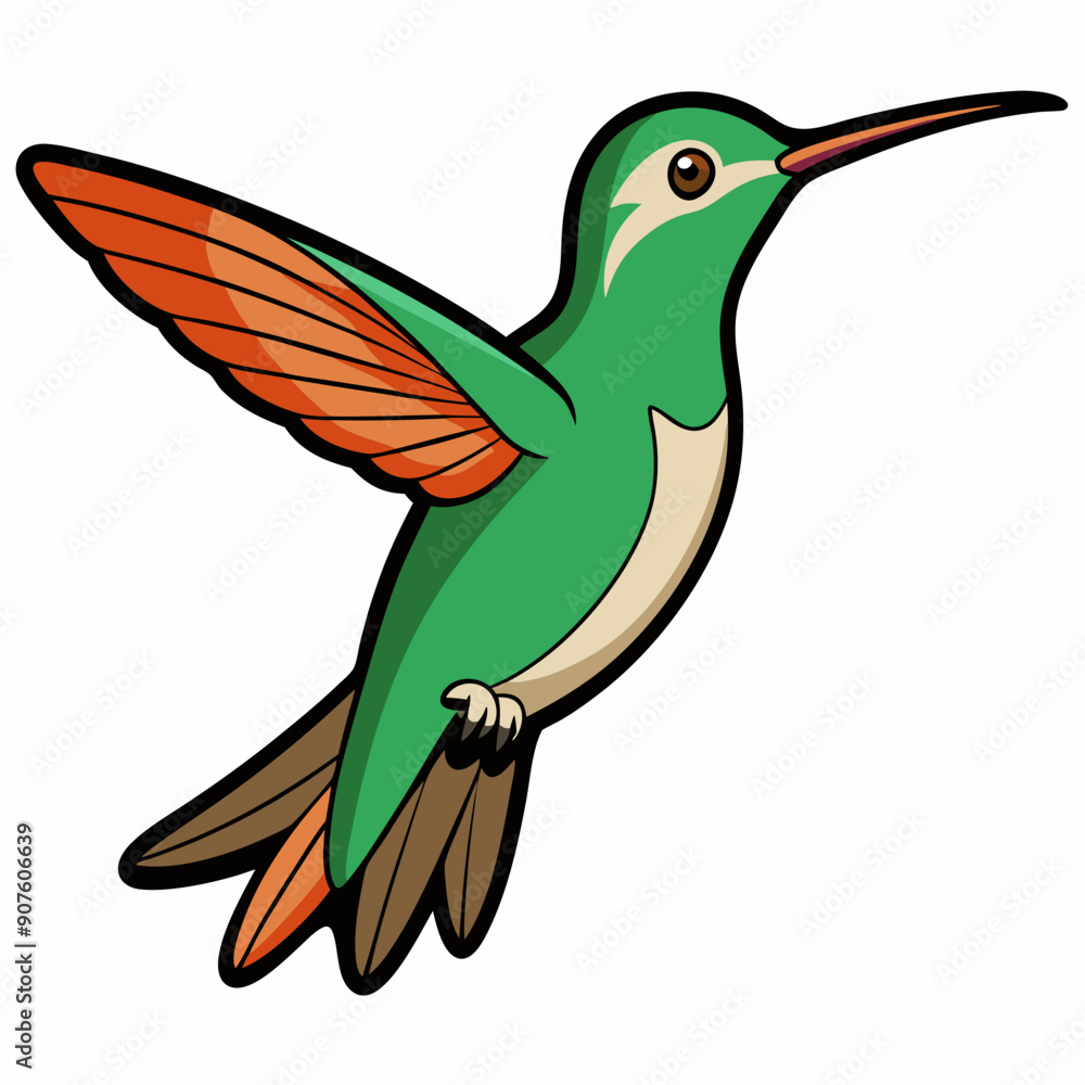 Obraz premium Broad-tailed Hummingbird Art vector illustration