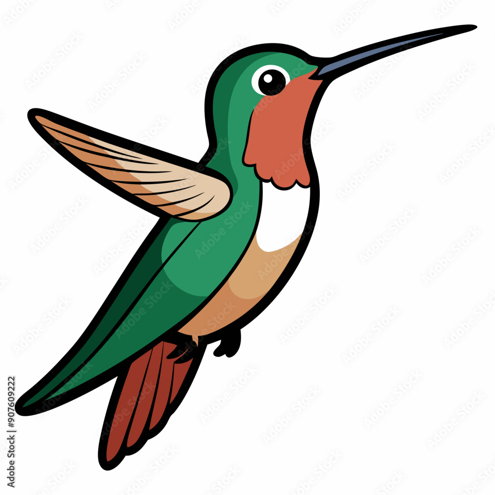 Obraz premium Broad-tailed Hummingbird Art vector illustration