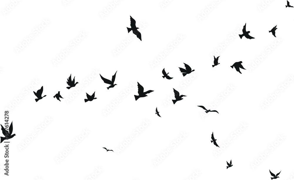 Flying birds silhouette set clipart isolated on white background Flying birds silhouette set clipart isolated on white background