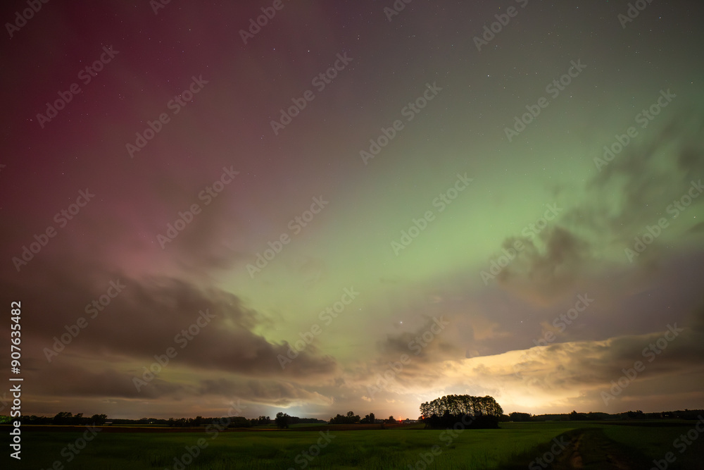 Auroras Dance Above an Open Field Under a Starlit Sky at Dusk Auroras Dance Above an Open Field Under a Starlit Sky at Dusk