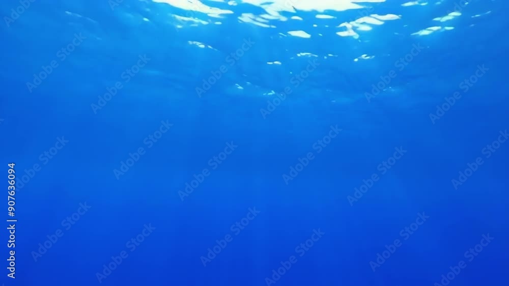 A serene underwater frame showcasing deep blue water illuminated by sunlight, evoking tranquility and a sense of exploration A serene underwater frame showcasing deep blue water illuminated by sunlight, evoking tranquility and a sense of exploration